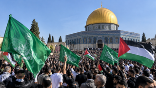"לא היו סימני חיבוב או תגובות"