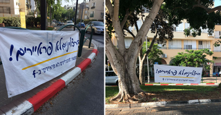 בין השלטים שפוזרו הלילה. לכלכתם | צילומים: פרטי