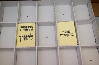 בחירות בירושלים. צילום: יואב דודקביץ'