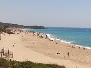 חוף פלמחים | צילום: אביגיל קדם