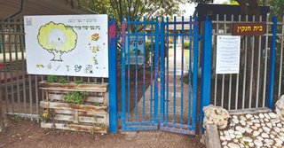 צילום: שרון צור
