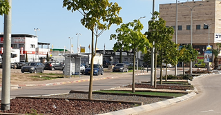 צילום: אתר 'מיינט העמק'