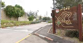 צילום: שרון צור
