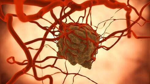 La nanotecnología como ayuda para combatir al cáncer. 