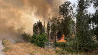 Incendio en un tramo de la ruta 6. 