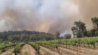 Incendios forestales en Israel. 