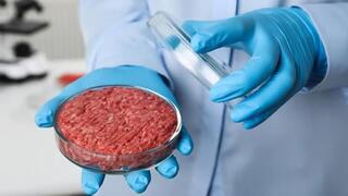 Carne cultivada. Se halló una tecnología para producirla masivamente. 