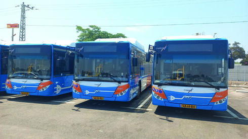 netanya.mynet.co.il