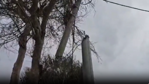 עמוד נשבר: הודעת חברת החשמל לתושבי פתח תקוה