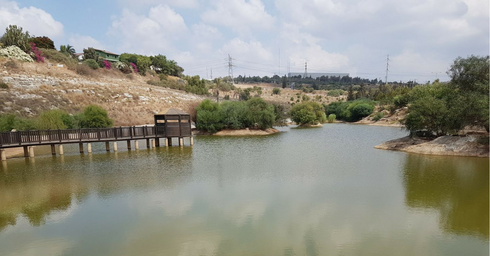 טיול לחג: יצאנו לבקר באגם הסודי של ראש העין