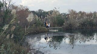 احدى المحميات الطبيعية في الشمال