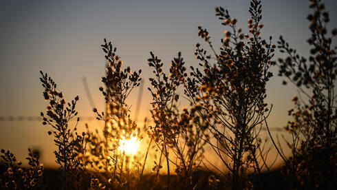 ارتفاع طفيف في درجات الحرارة خلال الأيام القادمة