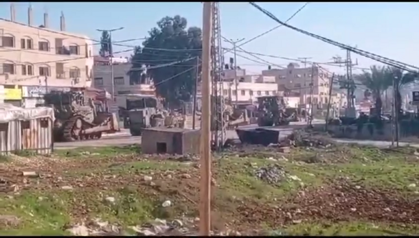 جنين