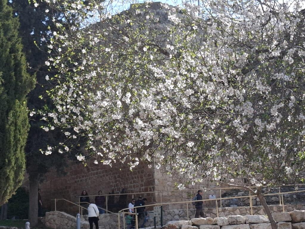 حالة الطقس