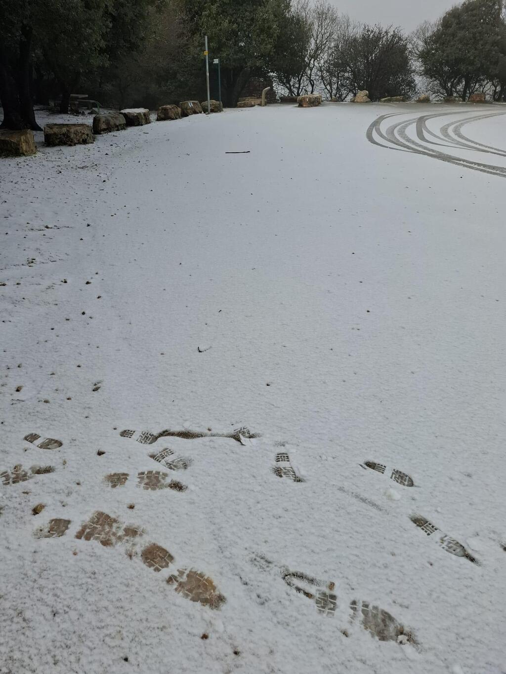 منخفض جوي وأمطار غزيرة 