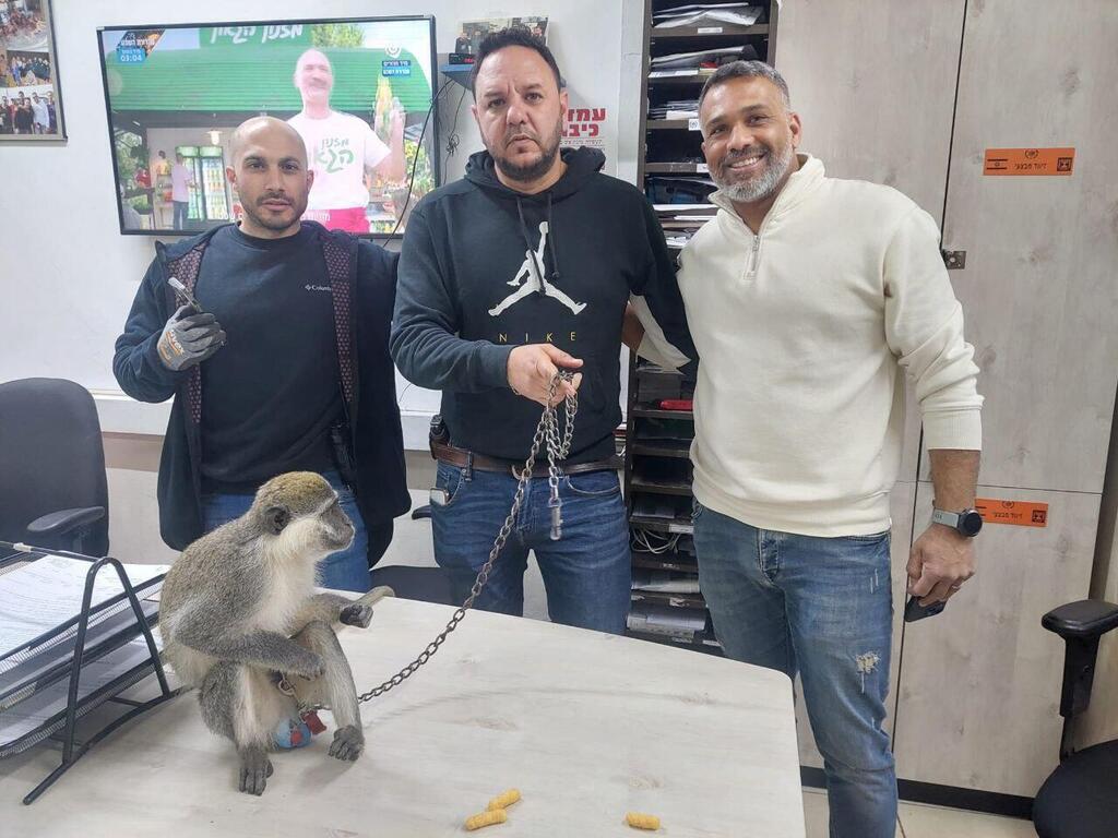 تخليص قرد من احتجاز غير قانوني في النقب