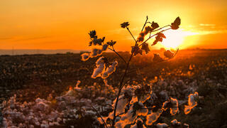 مرج أبن عامر