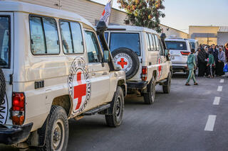 الصليب الأحمر في قطاع غزة