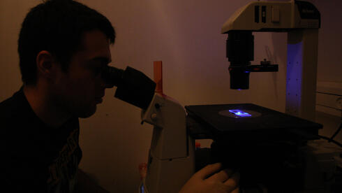 بحث علمي - صورة توضيحية