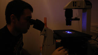 بحث علمي - صورة توضيحية