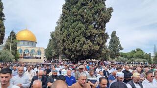 75 ألف مصل يؤدون الجمعة الأخيرة من رمضان في الأقصى