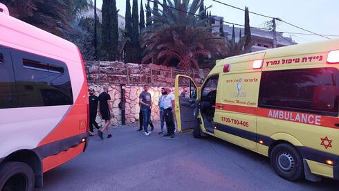 اطلاق نار في طمرة