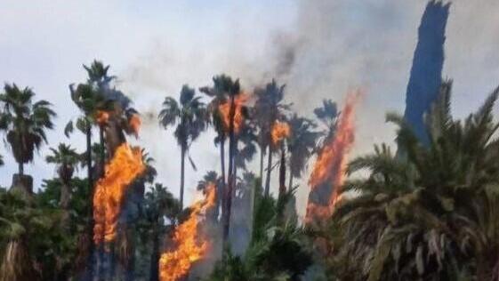 حريق رمات جان