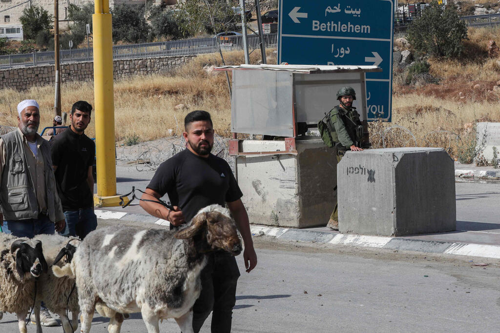 رغم السواتر الأمنية والإجراءات المشددة: فلسطينيون يتجمعون في سوق للمواشي لشراء وبيع الأضاحي استعدادًا للعيد (فلاش 90) رغم السواتر الأمنية والإجراءات المشددة: فلسطينيون يتجمعون في سوق للمواشي لشراء وبيع الأضاحي استعدادًا للعيد