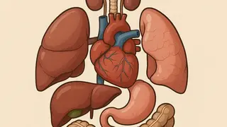 جسم الانسان بتقنية الذكاء الصناعي