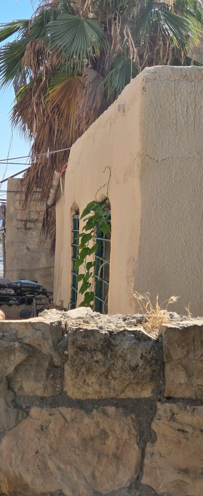 الحي الشرقي في حيفا