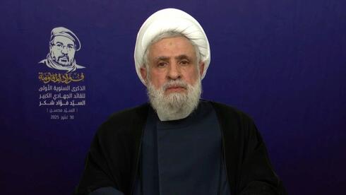 الأمين العام لحزب الله نعيم قاسم