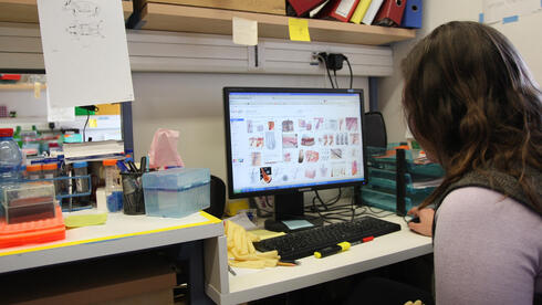 امرأة في مكان عمل