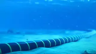 كابلات بحرية