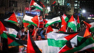 علم فلسطين - صورة عامة