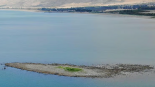 ظهور جزيرة في بحيرة طبريا نتيجة تراجع منسوب المياه