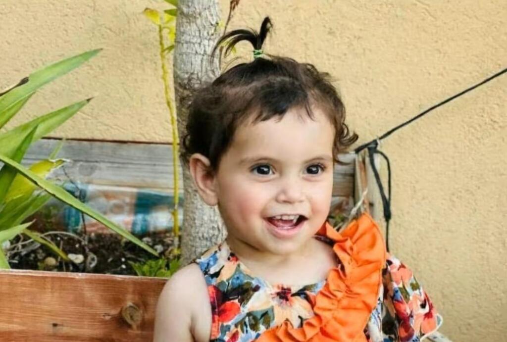 ضحية الحادث الطفلة ألمى عطية أبو محارب 