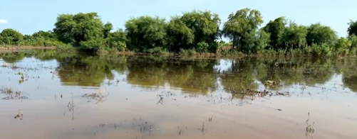 مصر: اتهامات لإثيوبيا بالتسبب في فيضان نهر النيل وغرق قرية بالمنوفية