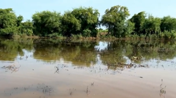 مصر: اتهامات لإثيوبيا بالتسبب في فيضان نهر النيل وغرق قرية بالمنوفية