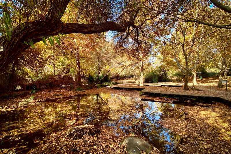 شمال البلاد - خريف 2024