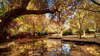 شمال البلاد - خريف 2024