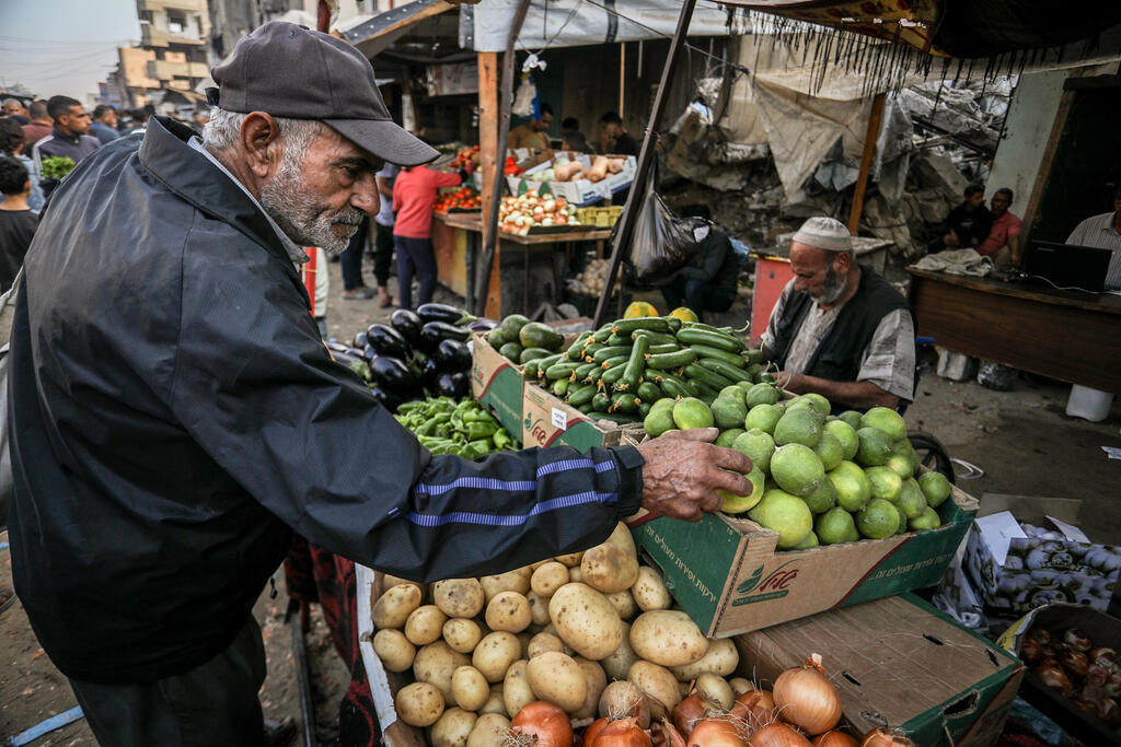 الحياة تعود إلى غزة (Flash90)  الحياة تعود إلى غزة