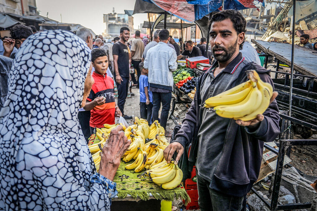 الحياة تعود إلى غزة (Flash90)  الحياة تعود إلى غزة