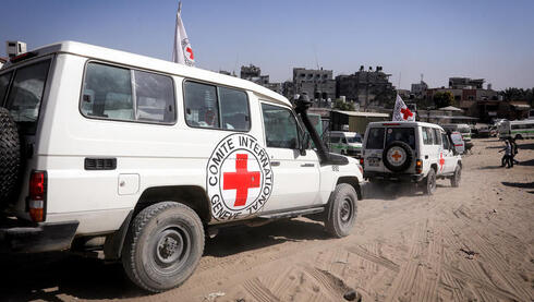 الصليب الأحمر الدولي في غزة