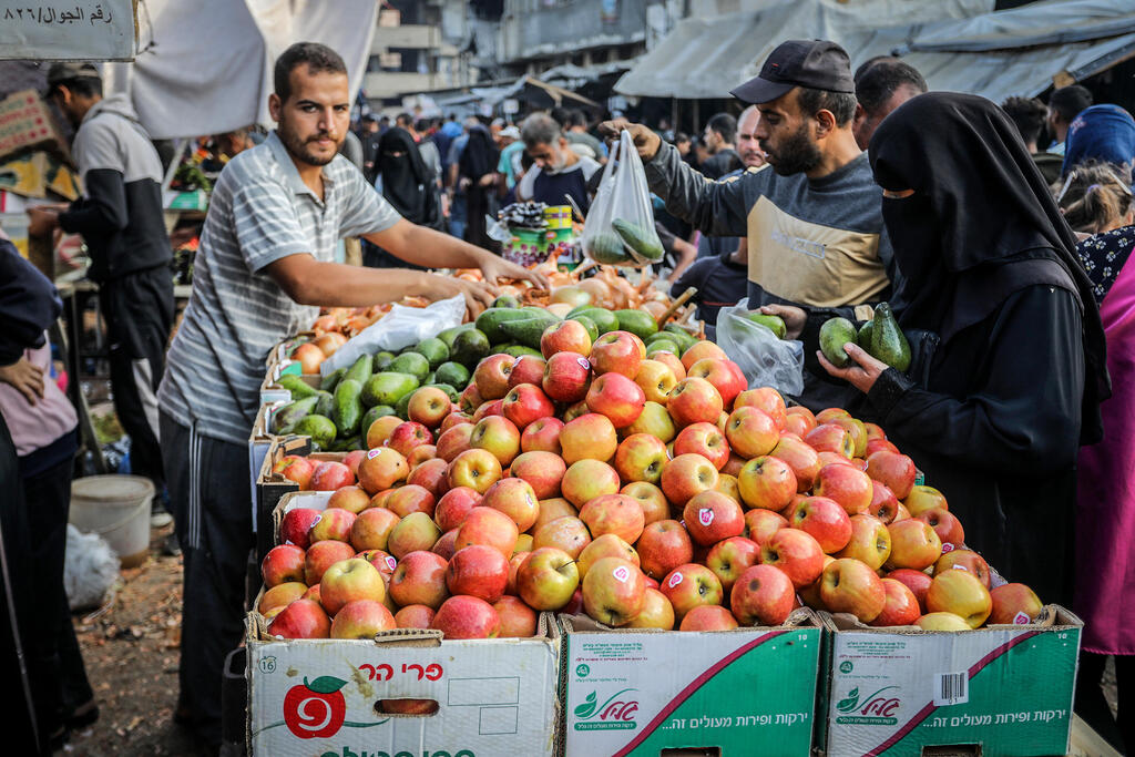 الحياة تعود إلى غزة (Flash90)  الحياة تعود إلى غزة