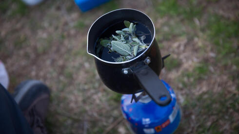 مشروبات أعشاب