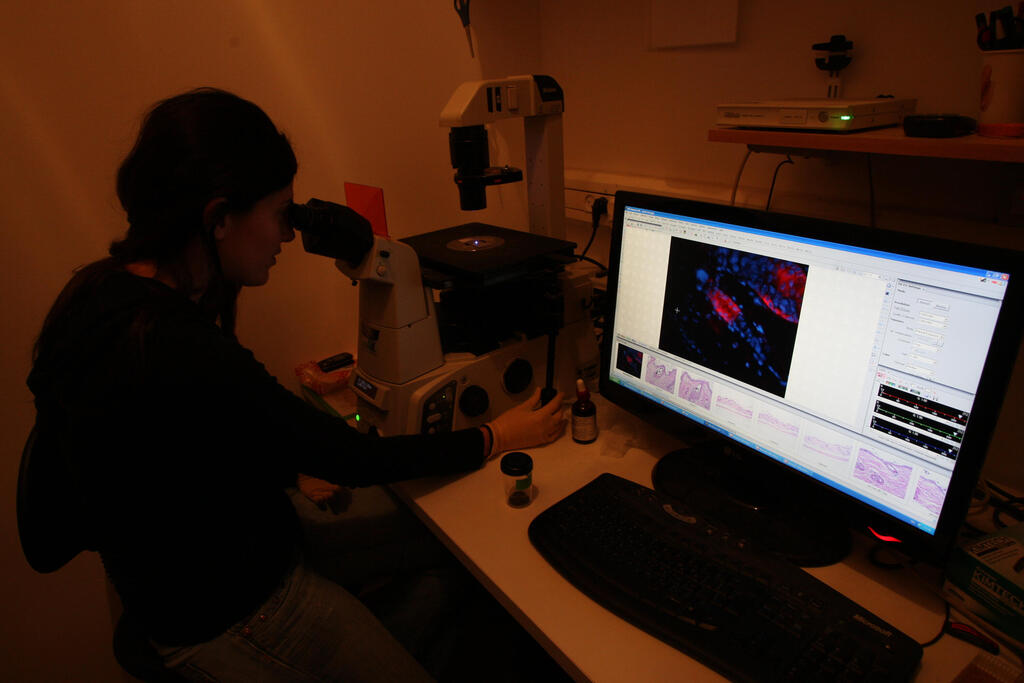 تشخيص اصابة بـ السرطان (فلاش 90) تشخيص اصابة بـ السرطان