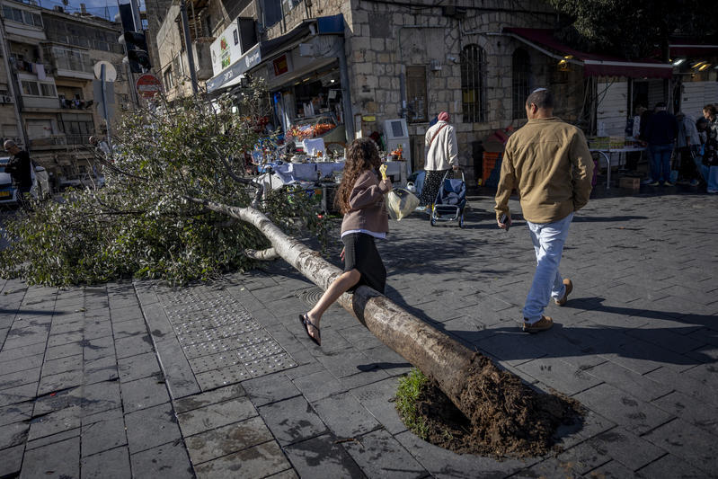 أضرار العاصفة في البلاد (Flash90) عاصفة تضرب البلاد