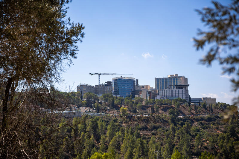 صورة عامّة لمستشفى هداسا عين كارم