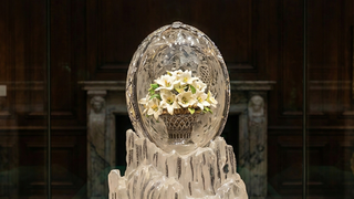 بيضة الشتاء النادرة صورة توضيحية