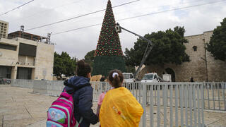 شجرة الميلاد في كنيسة القيامة - بيت لحم